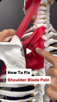 a video demonstrating how to fix the shoulder blade pain on an x - ray machine