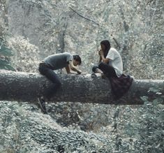 two people are sitting on a tree branch in the woods and one person is taking pictures