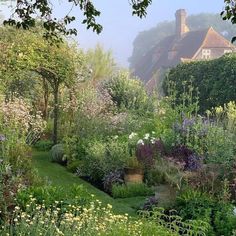 a lush green garden with lots of flowers