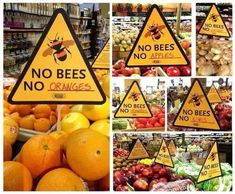 there are many signs that say no bees, no oranges and no apples in the store