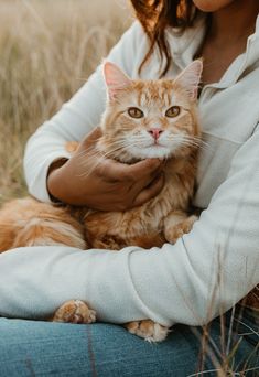 a woman is holding an orange cat in her lap while she sits on the ground