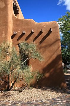 an adobe building with a tree in front of it