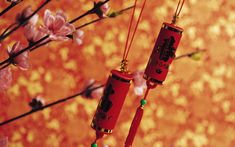 two red and gold lighters hanging from branches with pink flowers in the foreground