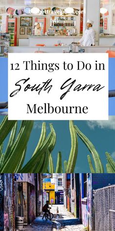 the top things to do in sydney, australia with text overlay that reads 12 things to