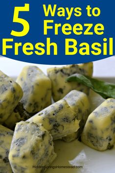 five ways to freeze fresh basil