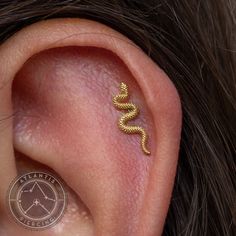 a close up of a person's ear with a small gold snake on it