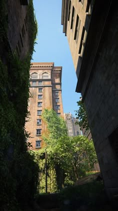 looking up at an apartment building from the ground level, with trees and bushes on either side