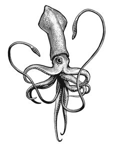 an octopus with a hat on it's head and tentacles attached to its back