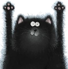 a black cat with its paws in the air