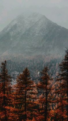 the mountains are covered in snow and trees with orange leaves on them, as if they were foggy