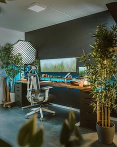 an office with plants and a computer on the desk in front of it is lit up