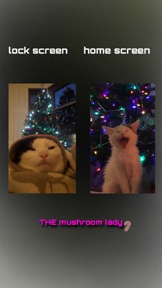 two pictures of cats in front of a christmas tree with the caption lock screen home screen