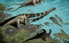 an artist's rendering of two large lizards swimming in the water with other animals nearby