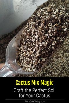 a close up of a person holding a spoon with seeds in it and text that reads cactus mix magic craft the perfect soil for your cactus