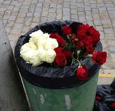 red and white flowers in a trash can