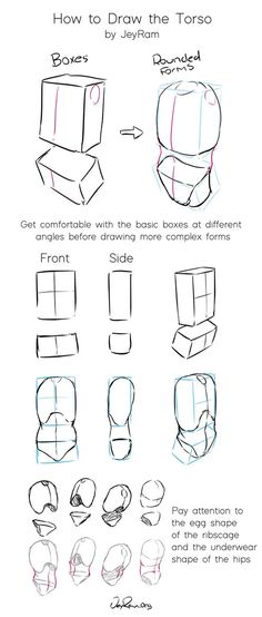 how to draw the torso box step - by - step instructions for beginners