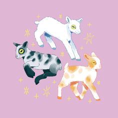 three different types of animals on a pink background