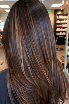 Long Straight Chocolate Layers With Caramel Highlights Hairstyle on woman with brown hair in salon, back view. Straight Brunette Hair With Lowlights, Fall Hair Color For Brunettes Straight Long, Chocolate Brown With Grey Highlights, Highlight For Straight Hair, Brown Hair Colors Straight Long, Korean Hair Highlights Brown, Cowboy Caviar Hair Color, Highlights Brown Hair Blowout, Honey Highlights On Dark Hair Straight