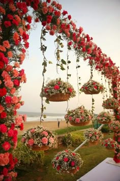 several hanging baskets filled with pink and red flowers next to the ocean on a sunny day