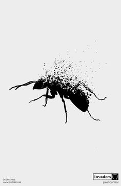 a black and white image of a bug with sprinkles on it's back