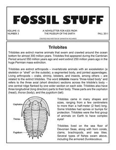 the front page of fossil stuff magazine, with information about trilobits and other animals