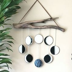 a group of mirrors hanging on a wall next to a tree branch and potted plant