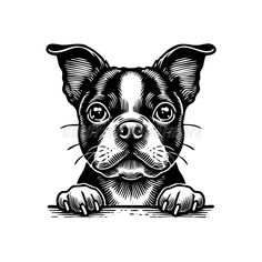 a black and white drawing of a dog peeking out from behind the edge of a wall