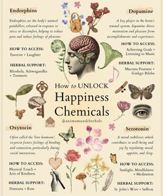 Happiness Chemicals, Mood Stabilizer, Ayurveda Life