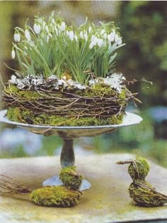 a cake with flowers and twigs on it