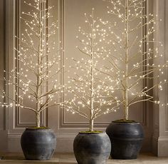 two vases with trees in them are decorated with white lights and some black potted plants