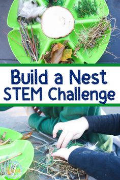 Can you build a nest? This build a bird nest challenge for kids gets kids thinking creatively and applying imagination to science! Perfect for any age! #stemchallenge #buildanest #nestbuilding #stemforkids #kidsactivities #stemathome #stemintheclassroom #kidsscience #outfoorkidsactivities Build A Nest Stem Challenge, Natural World Activities For Preschool, Science And Nature Center Preschool, Nature Class Activities, Fun Outside Activities For Preschoolers, Homeschool Crafts 2nd Grade, Forest Stem Activities, Animal Science Activities Preschool, Nature Activities For Kindergarten