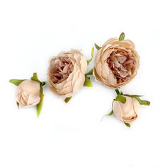 three pink flowers with green leaves on a white background