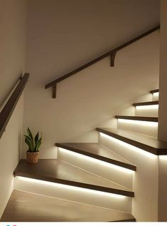 some stairs with lights on them and a potted plant