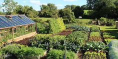 an outdoor garden with lots of plants and vegetables in it, surrounded by green grass