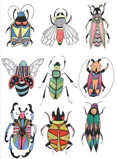 six different colored bugs are shown in this drawing