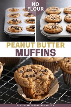 peanut butter muffins with chocolate chips on top