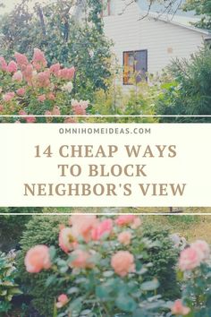 14 Cheap Ways to Block Neighbor's View - Omni Home Ideas Privacy Fence From Neighbors, How To Block Neighbors Yard, Privacy Fence For Front Yard, Neighbor Divider Front Yard, Privacy Garden Ideas Backyards, Plants To Block Neighbors, Diy Yard Privacy Ideas Cheap, How To Block Neighbors View, Short Fence Ideas Backyards