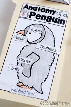 a penguin bookmark with the words anatomy of a penguin on it