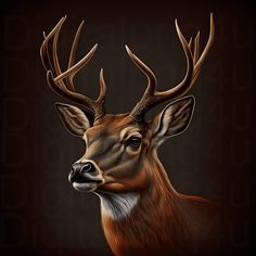 an image of a deer with antlers on it's head