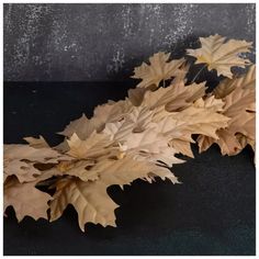 some very pretty looking leaves on a black counter top in front of a gray wall