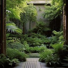 a wooden bench sitting in the middle of a lush green forest