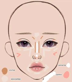 Shiny Makeup, Makeup Korean, Face Charts