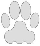 an animal paw print on a white background