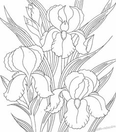 a drawing of some flowers in a vase