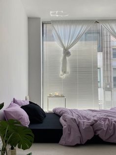 a bed sitting in front of a window next to a potted plant and white walls