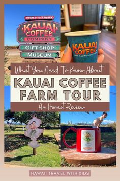 what you need to know about kauai coffee farm tour