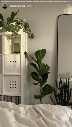 there is a bed with white sheets and green plants on the shelf next to it