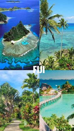 four pictures of tropical islands and palm trees