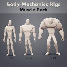 the body mechanics rigs muscle pack