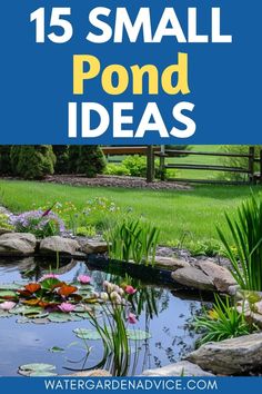 small pond with water lilies in it and text overlay that reads 15 small pond ideas